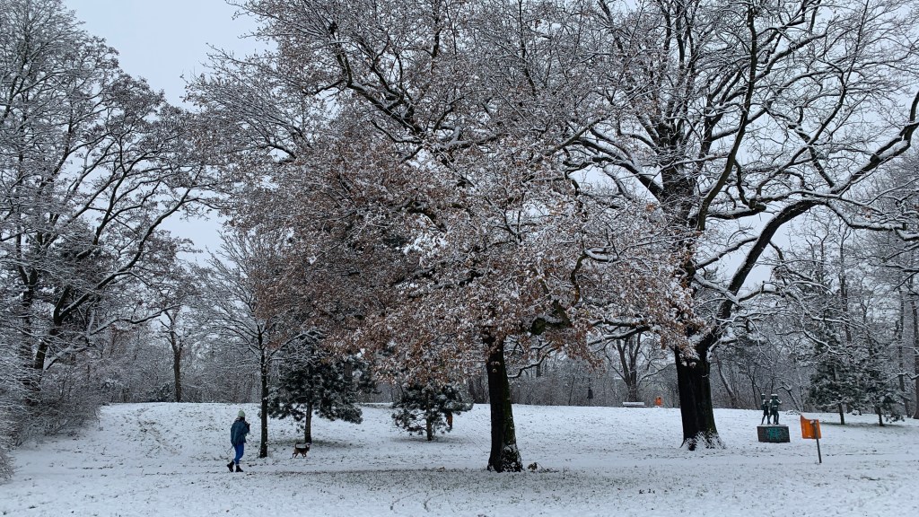 Schnee von gestern